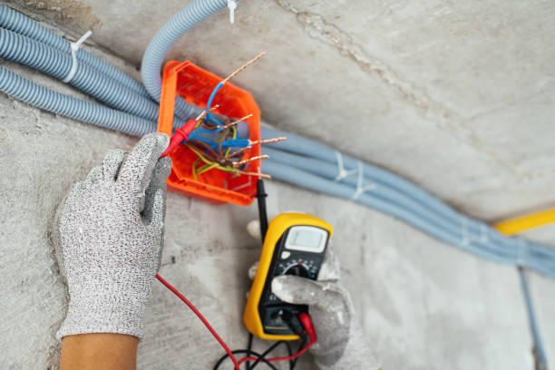 Best Electric Panel Repair  in Campbelltown, PA